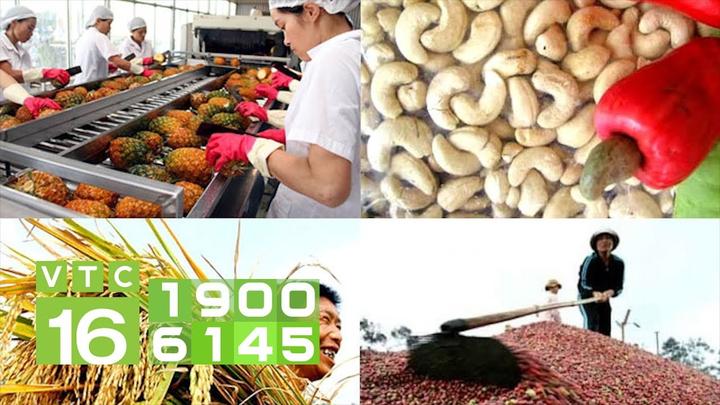 Cách Khởi Nghiệp Kiếm Tiền Bán Thời Gian Dành Cho Người Mới