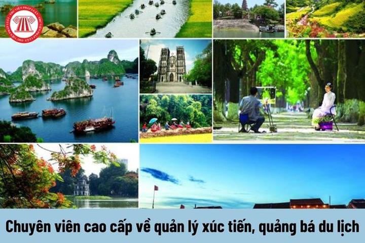 Xu hướng Từ Angela Phương Trinh gây: Hotspot Matrix tiết lộ bí quyết video viral