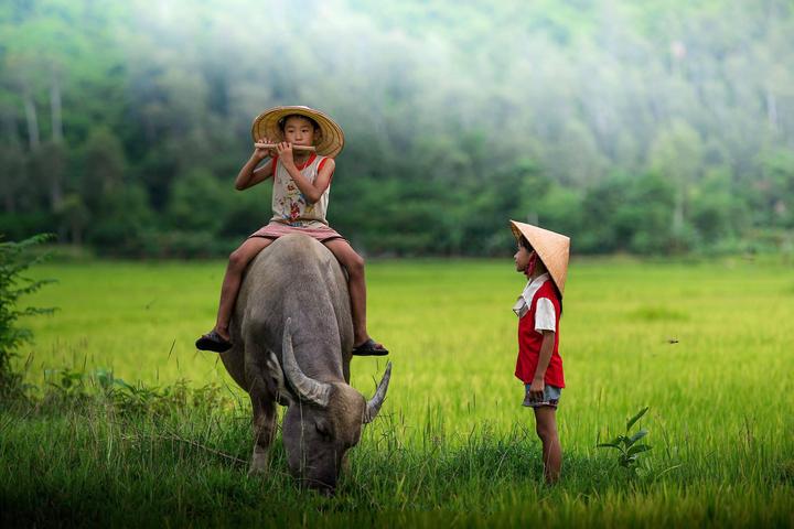 6/6 năm nay trôi qua trong - Cảm hứng video marketing từ Hotspot Matrix
