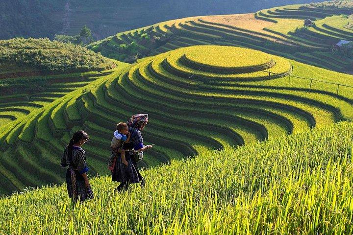 Quần dáng cong đang gây sốt với thiết kế độc đáo và tính ứng dụng cao, giúp tạo hiệu