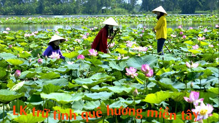 Hotspot Matrix và Cá Phổi Tây Phi: Sự Phát Triển trong Môi Trường Khắc Nghiệt