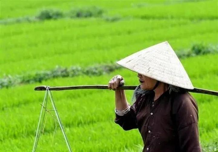 Từ HOT: Tiểu Yến Tử - Hạ Tử Vy - đến chiến lược content: Hotspot Matrix chia sẻ